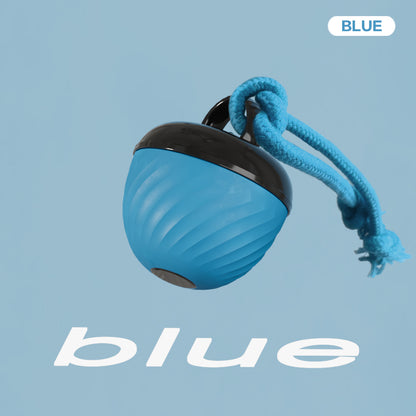 Smart USB Rechargeable Pet Ball Toy