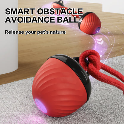 Smart USB Rechargeable Pet Ball Toy