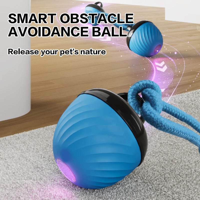 Smart USB Rechargeable Pet Ball Toy