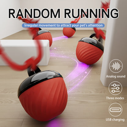 Smart USB Rechargeable Pet Ball Toy