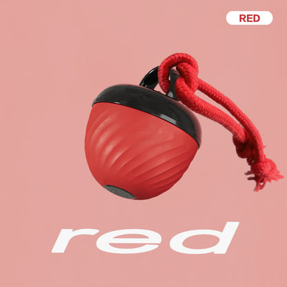 Smart USB Rechargeable Pet Ball Toy