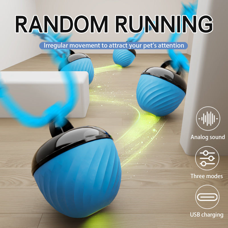 Smart USB Rechargeable Pet Ball Toy